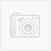 Nebula Woman Shorts ROY XXL Teknisk kamp-og treningsshorts til dame